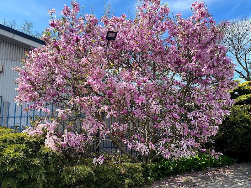 Obiekt "Czarny Rycerz" Aparthotel ยัสต์แชมเบียซดรุย ภายนอก รูปภาพ
